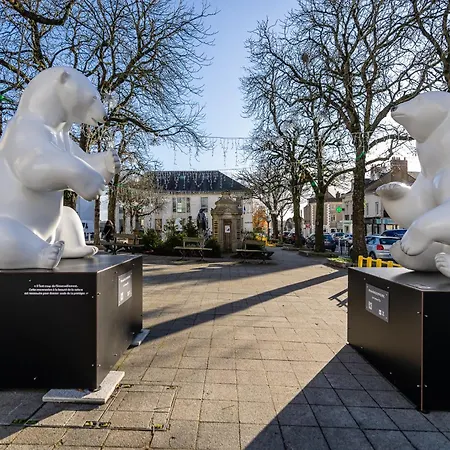 La Jungle - High Tech - Netflix - Wifi Très Débit *