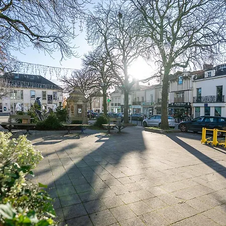 La Jungle - L'experience Immersive * Vertou