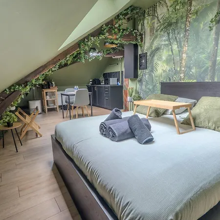 Apartment La Jungle - High Tech - Netflix - Wifi Tres Debit